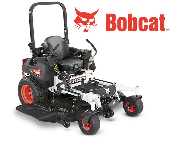 bobcat