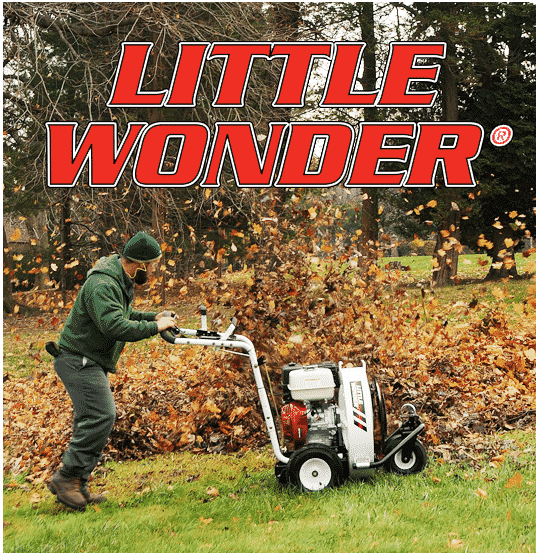 little-wonder